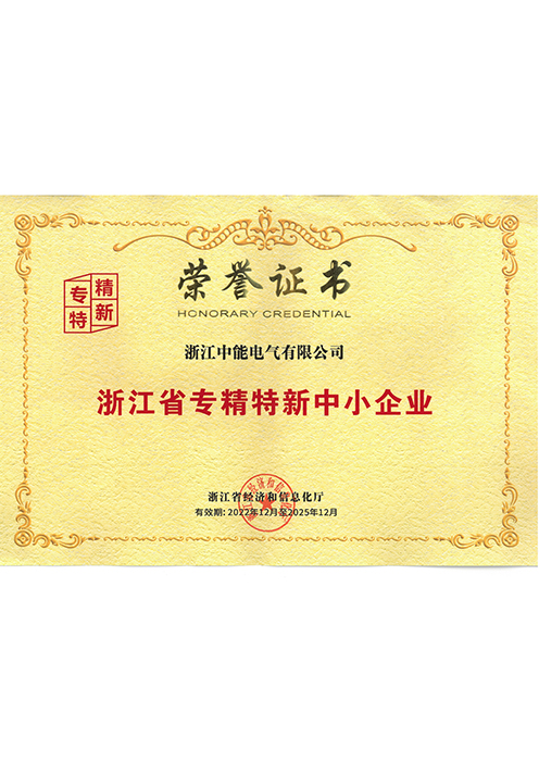 Zhejiang Province Specialized, Refined, Special, and New Small and Medium sized Enterprises